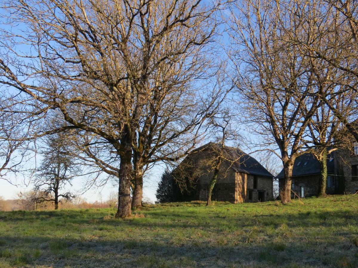 مبيت وإفطار Saint-Germain-les-Vergnes Domaine De La Clauzade المظهر الخارجي الصورة